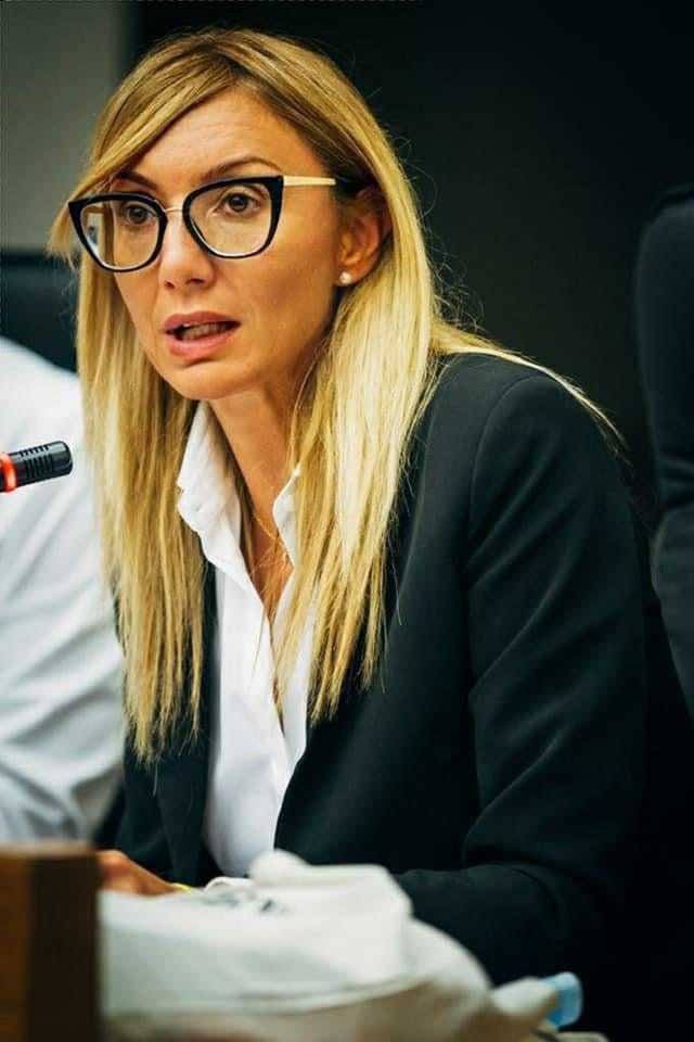 simona meloni, pd