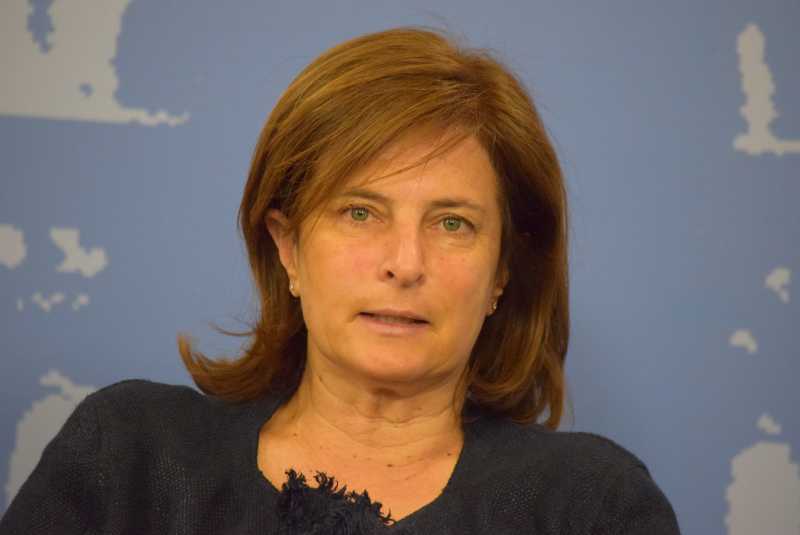 donatella porzi, gruppo misto