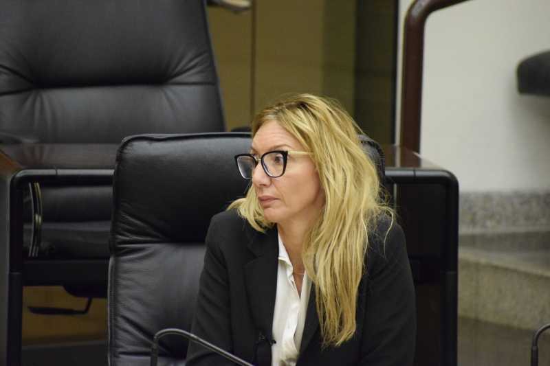 simona meloni, pd, sanità