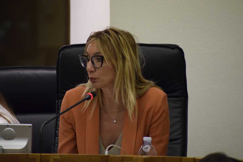simona meloni, pd 