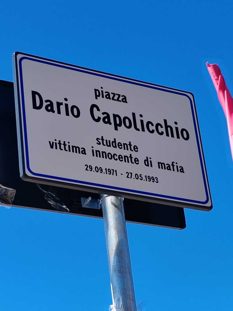 Dario Capolicchio