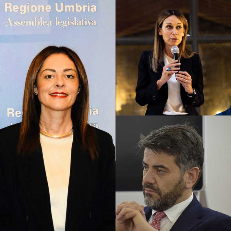 Gruppo regionale FDI