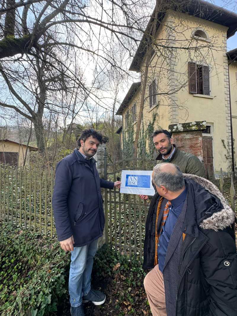 fabrizio ricci, avs, commissione antimafia