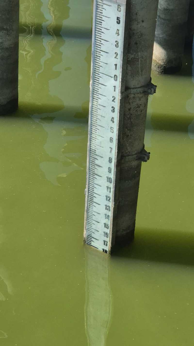 idrometro lago Trasimeno