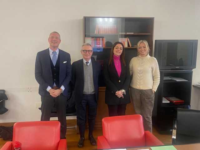 commissione antimafia - professor Fiorio