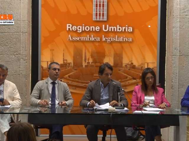 TeleCRU Commissione Statuto