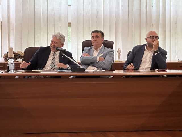 Mancini Castellari audizione