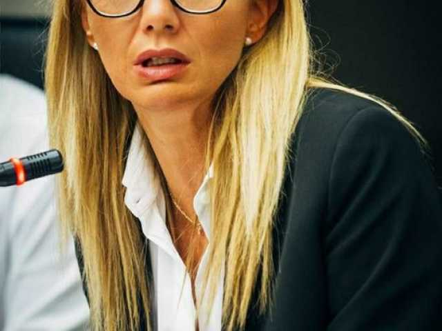 simona meloni, pd