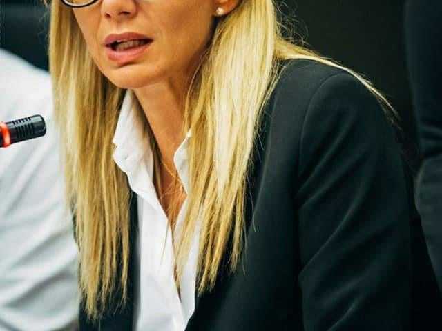 simona meloni, pd