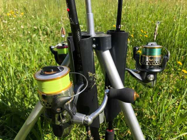 Pesca