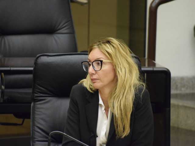 simona meloni, pd, sanità