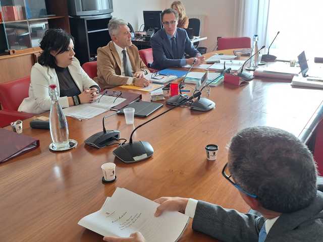 seconda commissione, pdl ceramica artistica