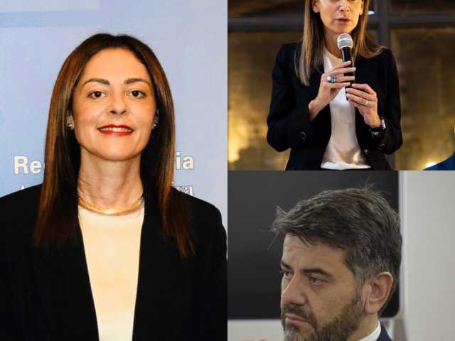 Gruppo regionale FDI