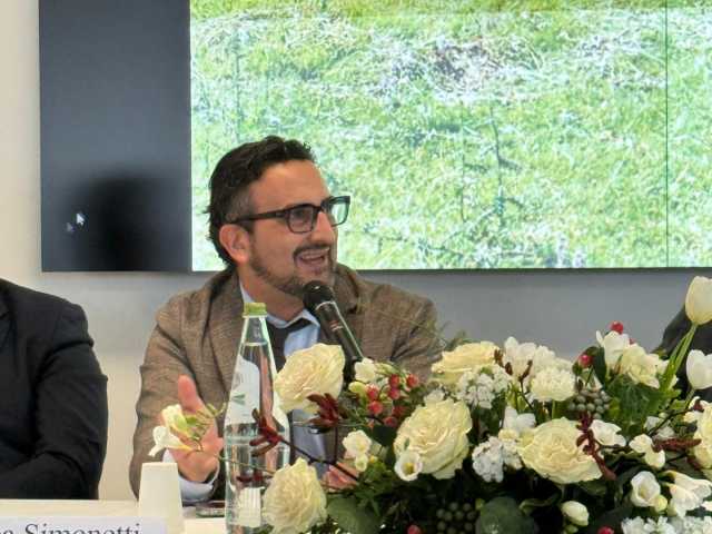 luca simonetti. m5s