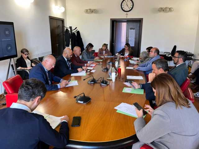 Prima e Terza commissione in seduta congiunta