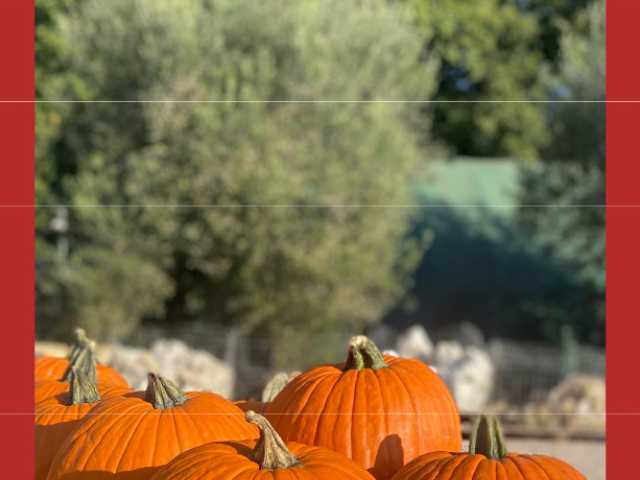 Copertina mensile Novembre 2025