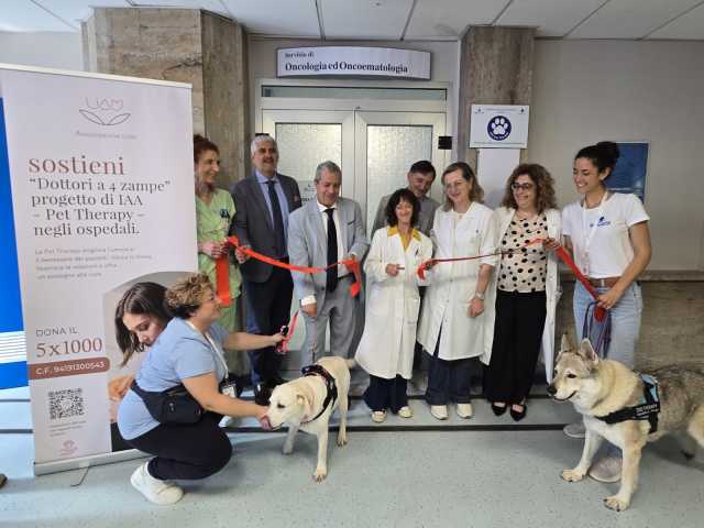 stefano lisci, pd