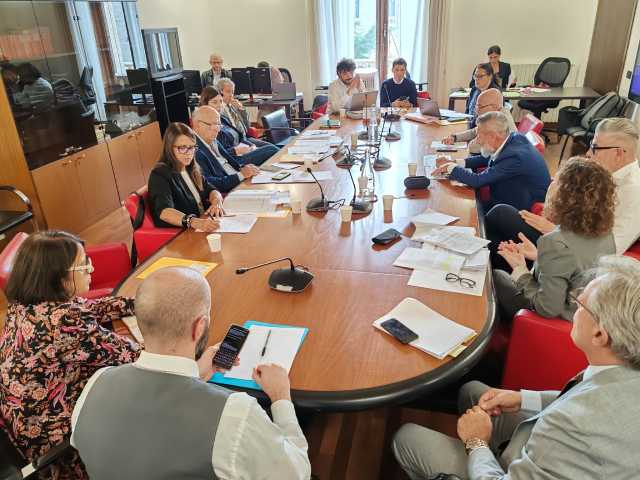 seconda commissione audizione